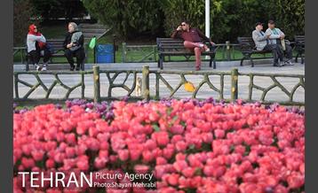 بوستان ملت 9