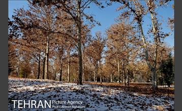 پاییز برفی پارک ملت 5