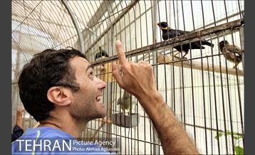 افتتاح اولین "باغچه خبر" در تهران 32