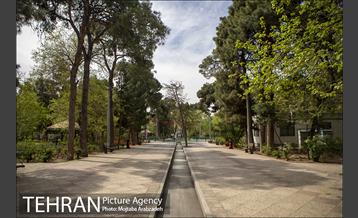 روز طبیعت بدون انسان 8