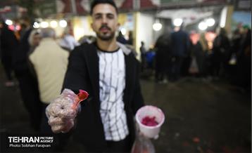 یازدهمین جشنواره صد دانه یاقوت 8