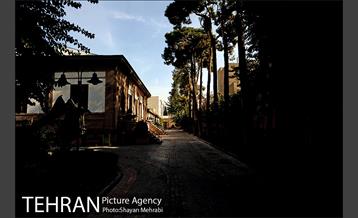 موزه حیات وحش هفت چنار 7