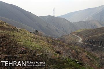 وردیج ، دنیایی از زیبایی 6