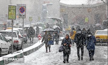 بارش نخستین برف زمستانی در تهران 7