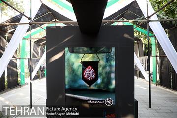 نمایشگاه عطر سیب 17