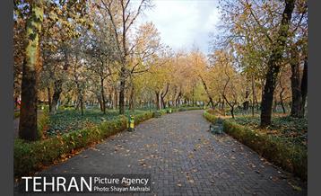 پاییز در پارک شهر 7