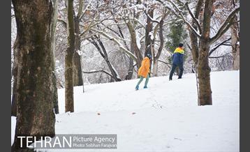 روز برفی تهران در بوستان ملت 19