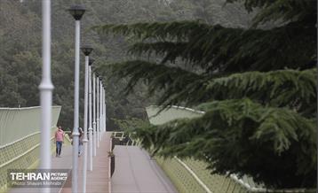 تهران در وضعیت خطرناک 11