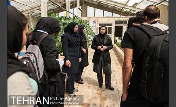 نهمین دوره همی عکاسی تهرانگردی‎ در سال 95
