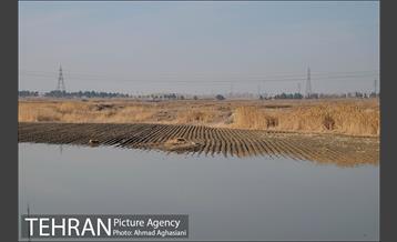 بررسی بوی نامطبوع در مسیر فرودگاه امام خمینی(ره) -2 22