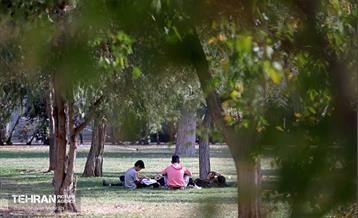 بوستان قائم 22