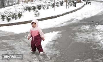 صبح برفی بوستان ملت 14