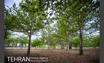 باغ گیاه‌شناسی ملی ایران 20