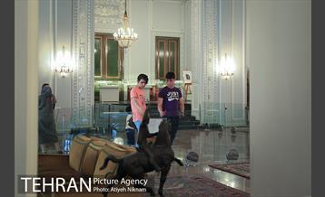 گشتی در کاخ نیاوران  14