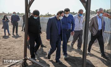 بازدید اعضای شورای شهر از پروژه های سازمان مدیریت پسماند 23