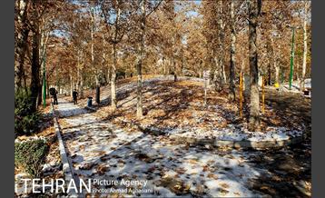 پاییز برفی پارک ملت 1