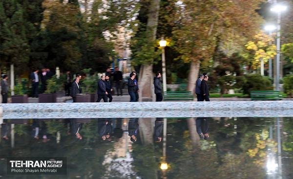 بازدید کمیسیون برنامه و بودجه شورای شهر از پروژه‌های منطقه 11 56