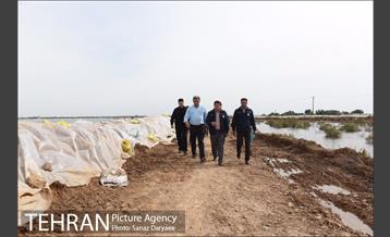 بازدید شهردار تهران از منطقه سیل زده پل سبحانیه دشت آزادگان 8