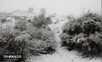 بارش برف زمستانی در تهران 15