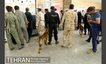 سگ های بمب یاب در پایانه مسافری شلمچه