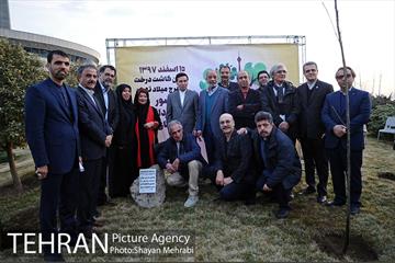 کاشت شش نهال درخت زیتون با حضور کارگرداران سینمای ایران 19