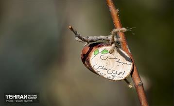 آیین غرس درخت در کوهسار با حضور معاون فرهنگی قوه قضاییه 7