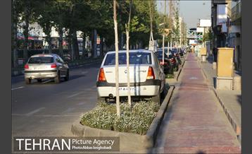 پارک خودرو‌ بین درختان چنار 18