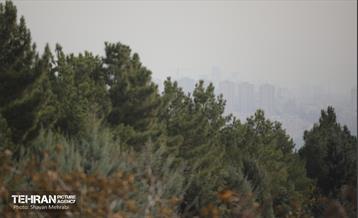 هوای تهران ناسالم است 26