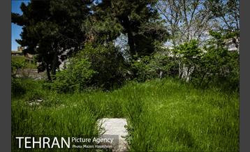 گورستان ده ونک 1