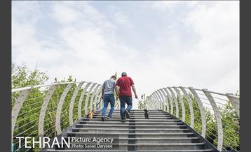 بوستان آزادگان 9