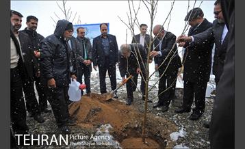 مراسم روز درختکاری با حضور شهردار تهران و رئیس مجلس 23