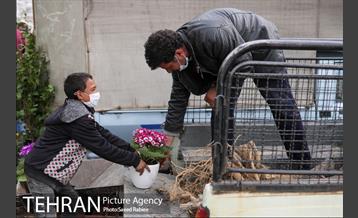 بازار گل و گیاه غرب تهران در آستانه نوروز 17