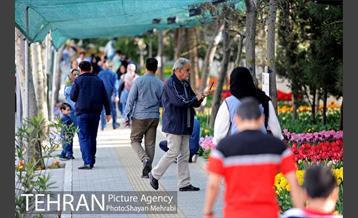 پیاده راه لاله مادران 25