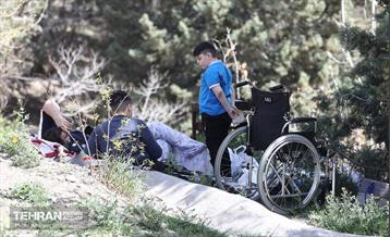 روز طبیعت در پارک جنگلی لویزان 1