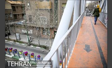 استقبال از بهار در خیابانهای تهران 21