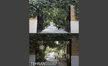 منطقه 7 در گذر زمان 4