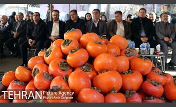 نخستین جشنواره خرمالو در روستای کشار سفلی 20