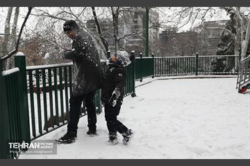 روز برفی تهران - 2 46