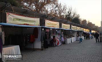 نمایشگاه عرضه تولیدات کسب و کارهای حامی شهر 33