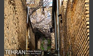 وردیج ، دنیایی از زیبایی 19