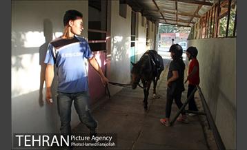 سوارکاری ورزشی برای کودکان‎ 18