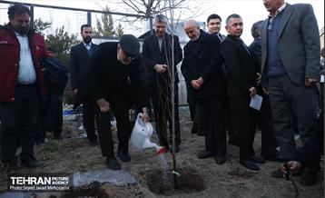 مراسم سومین آیین کاشت نهال صلح و دوستی  34