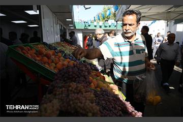 افتتاح ۲ بازار میوه و تره‌بار در تهران 11