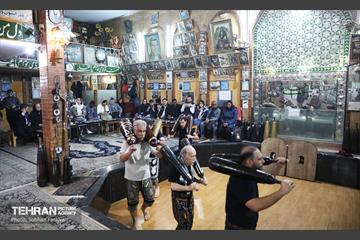 تور تهرانگردی سفرای خارجی 22