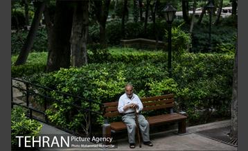 شهرنگار؛ باغ ایرانی 7