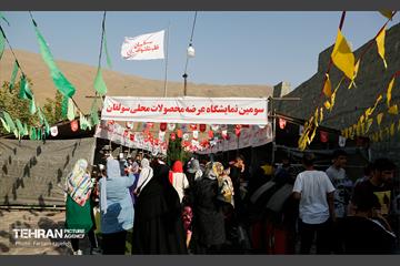 سومین جشنواره شاه توت