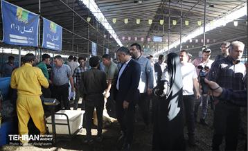 بازدید از مرکز عرضه بهداشتی دام ویژه عید قربان 59