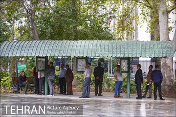 بارش نخستین باران پاییزی در تهران 5