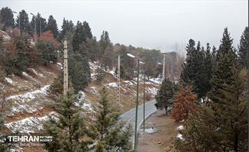 روز برفی در بوستان جنگلی سرخه‌حصار 2