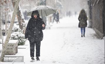 روز برفی تهران 13